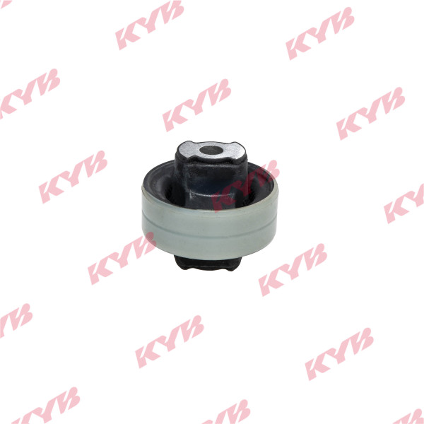 KCM1009