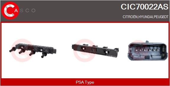 CIC70022AS