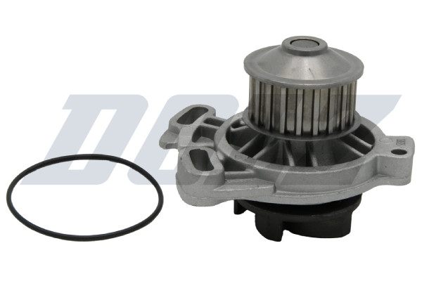 A154 DOLZ