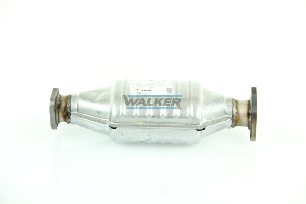 20072 WALKER