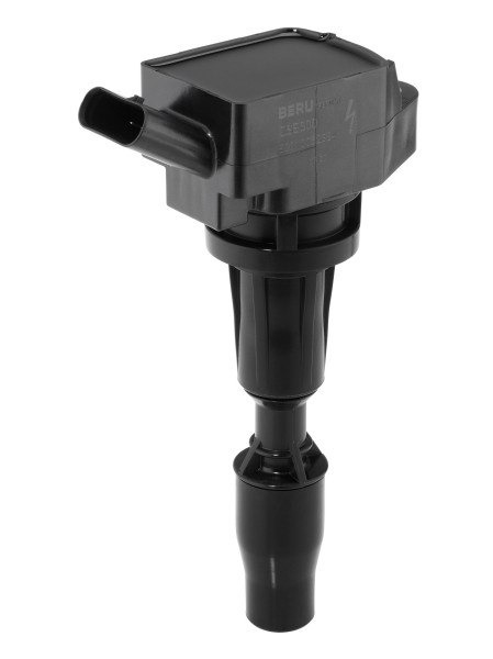 ZSE300