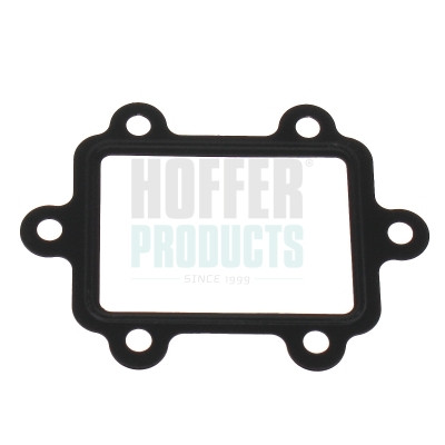 016173 HOFFER