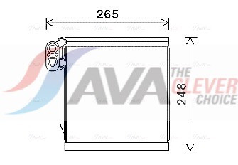 KAV196