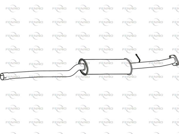 P29087 FENNO