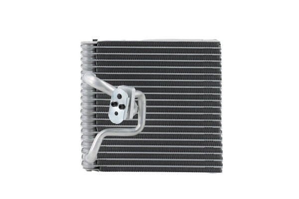 WEV00101