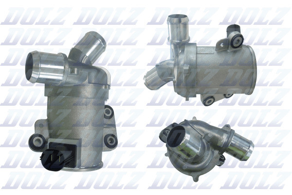 F253 DOLZ
