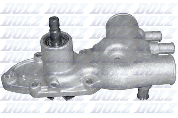 N513 DOLZ