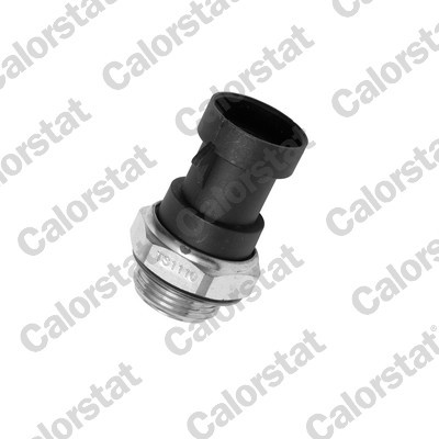 TS1110 CALORSTAT BY VE