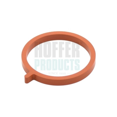 016479 HOFFER