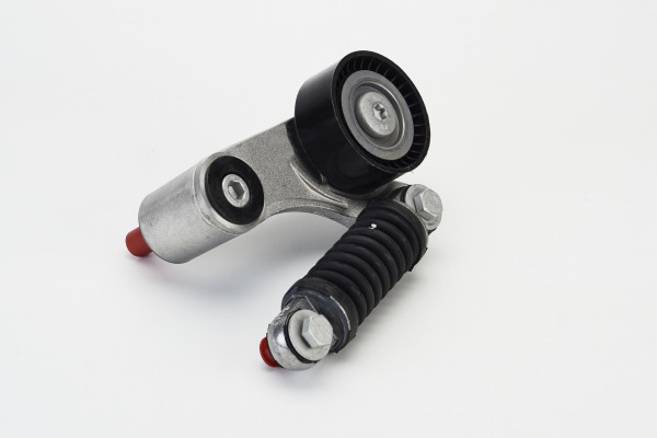 V85586COT