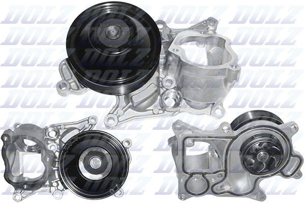 B250 DOLZ