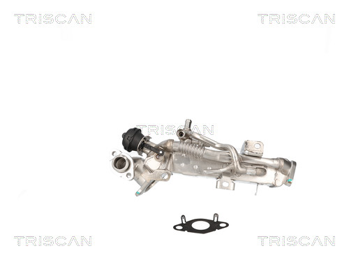 8813 11024 TRISCAN