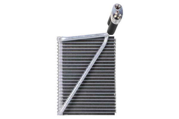 WEV00096