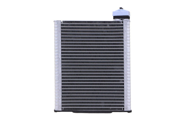 WEV00124