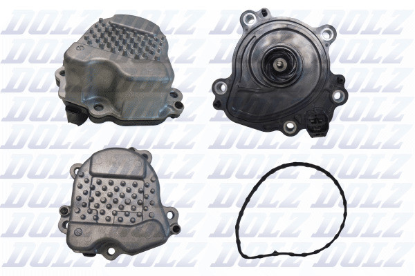 T275 DOLZ
