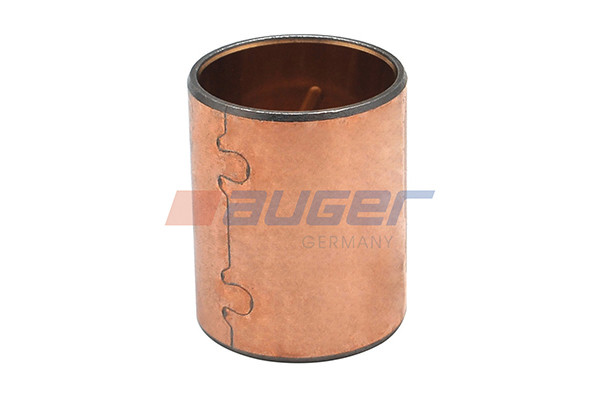 54895 AUGER