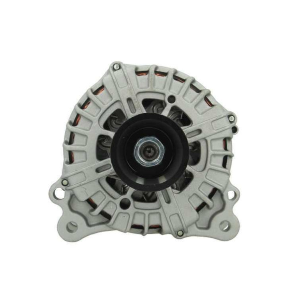 205.550.220.004 BV PSH