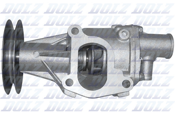 S137 DOLZ