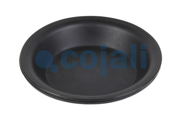 6001116 COJALI
