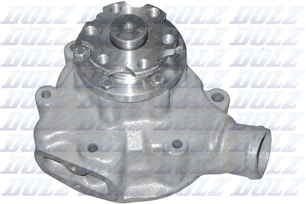 M613 DOLZ
