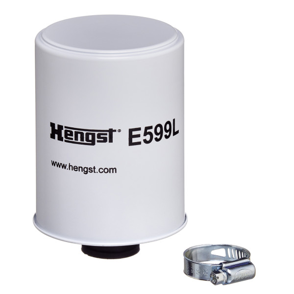 E599L