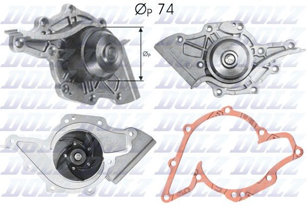 A175 DOLZ