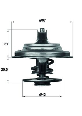 TX 23 83D