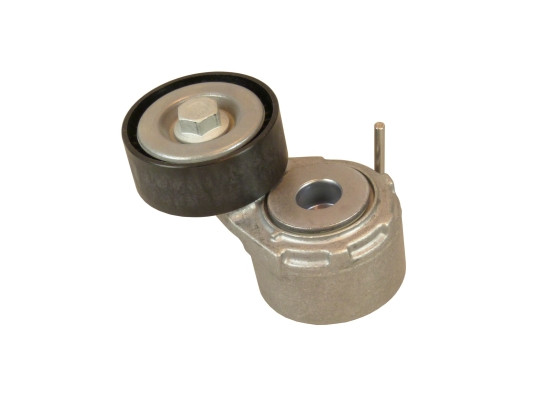 V85555COT