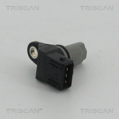 8855 25118 TRISCAN
