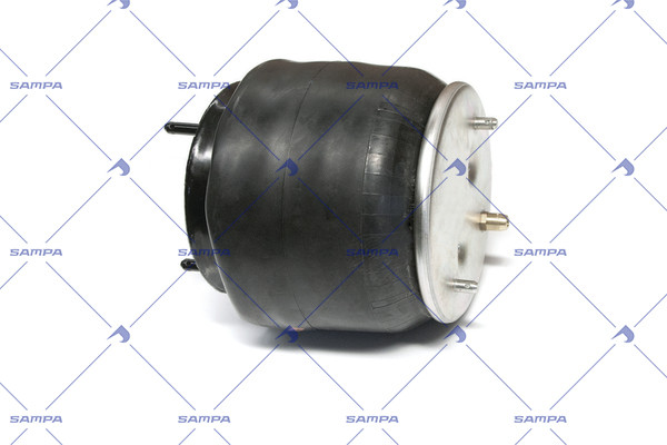 SP 556198-K