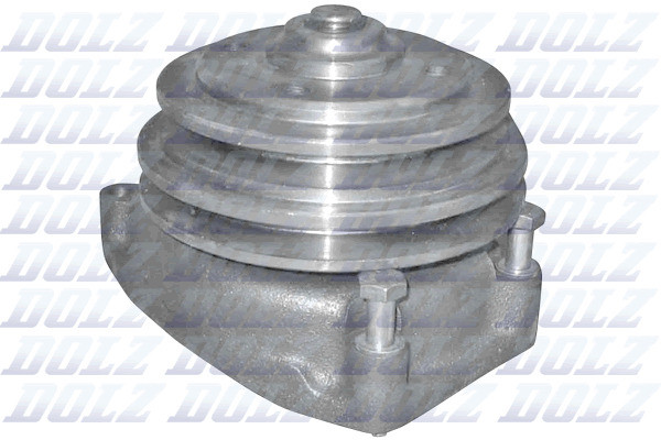 P323 DOLZ