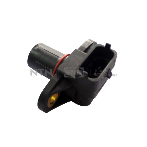 CMP185.01
