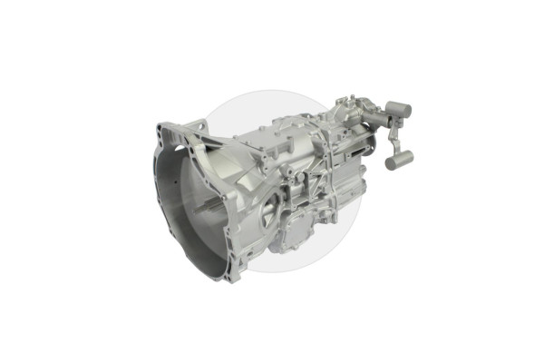 502010 APS-REMA GERMAN