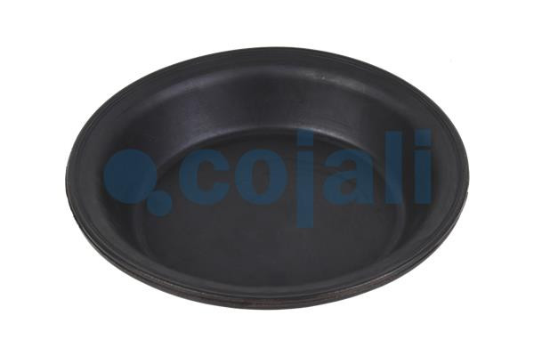 6001124 COJALI