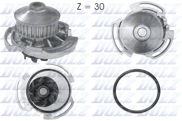 A164 DOLZ