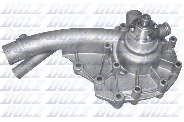 M172 DOLZ