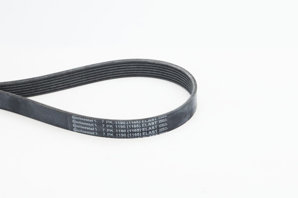 7PK1190ELASTCOT