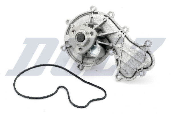 A227 DOLZ