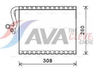 MSV604
