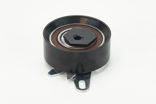 V55445COT