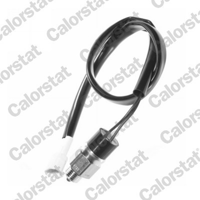 RS5556 CALORSTAT BY VE
