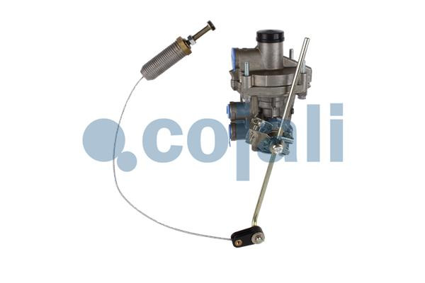 2220504 COJALI