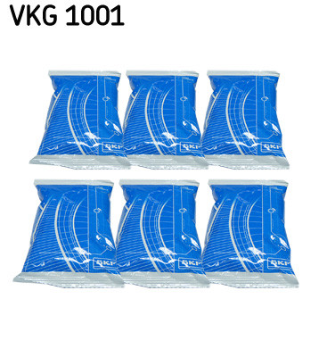 VKG 1001