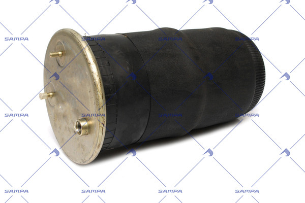 SP 556435-01