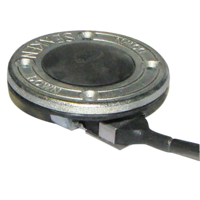 4507601L