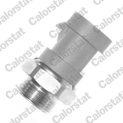 TS1090 CALORSTAT BY VE