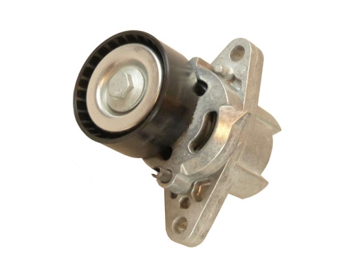 V85585COT