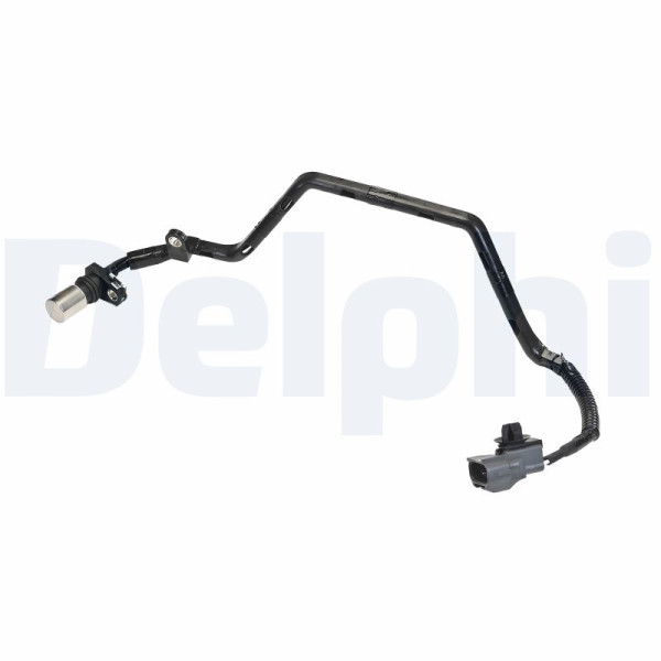 SS12365-12B1