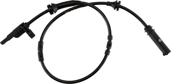 GBS2596