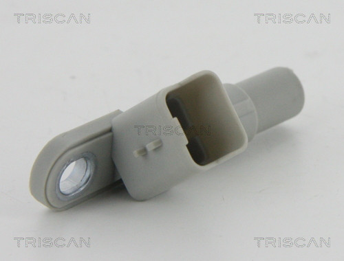 8855 10117 TRISCAN